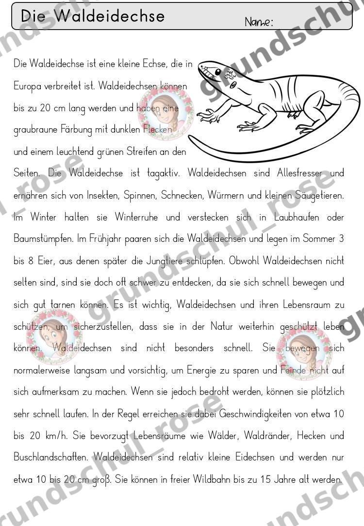 Materialvorschau, Seite 68