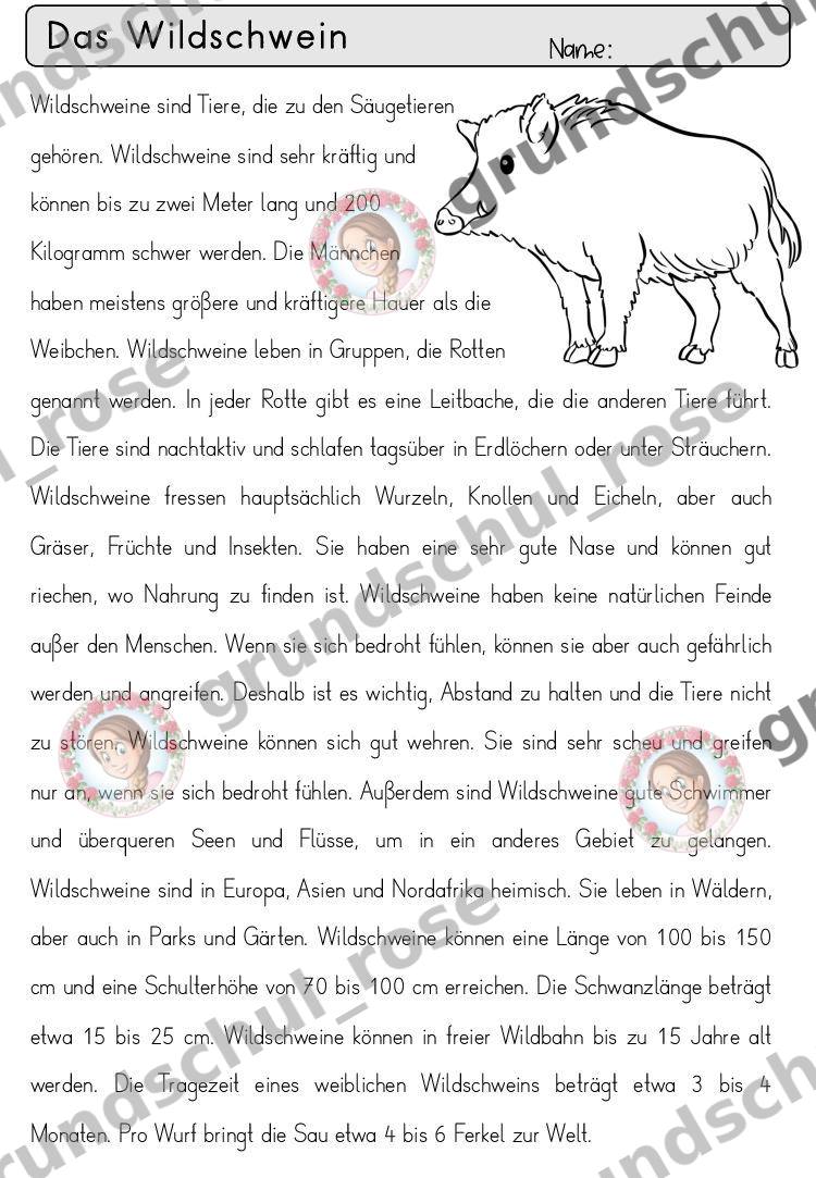 Materialvorschau, Seite 74