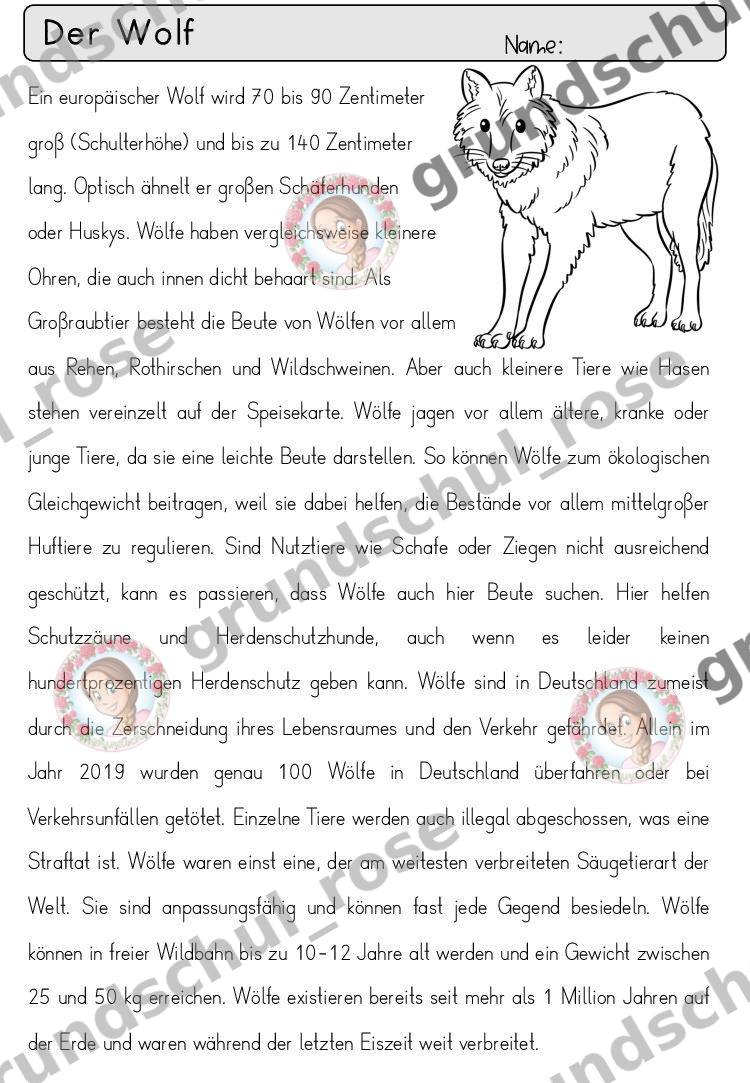 Materialvorschau, Seite 76