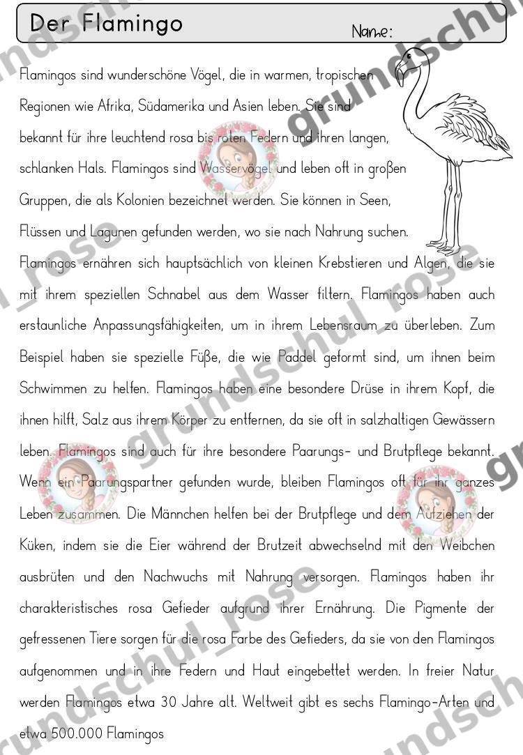 Materialvorschau, Seite 20