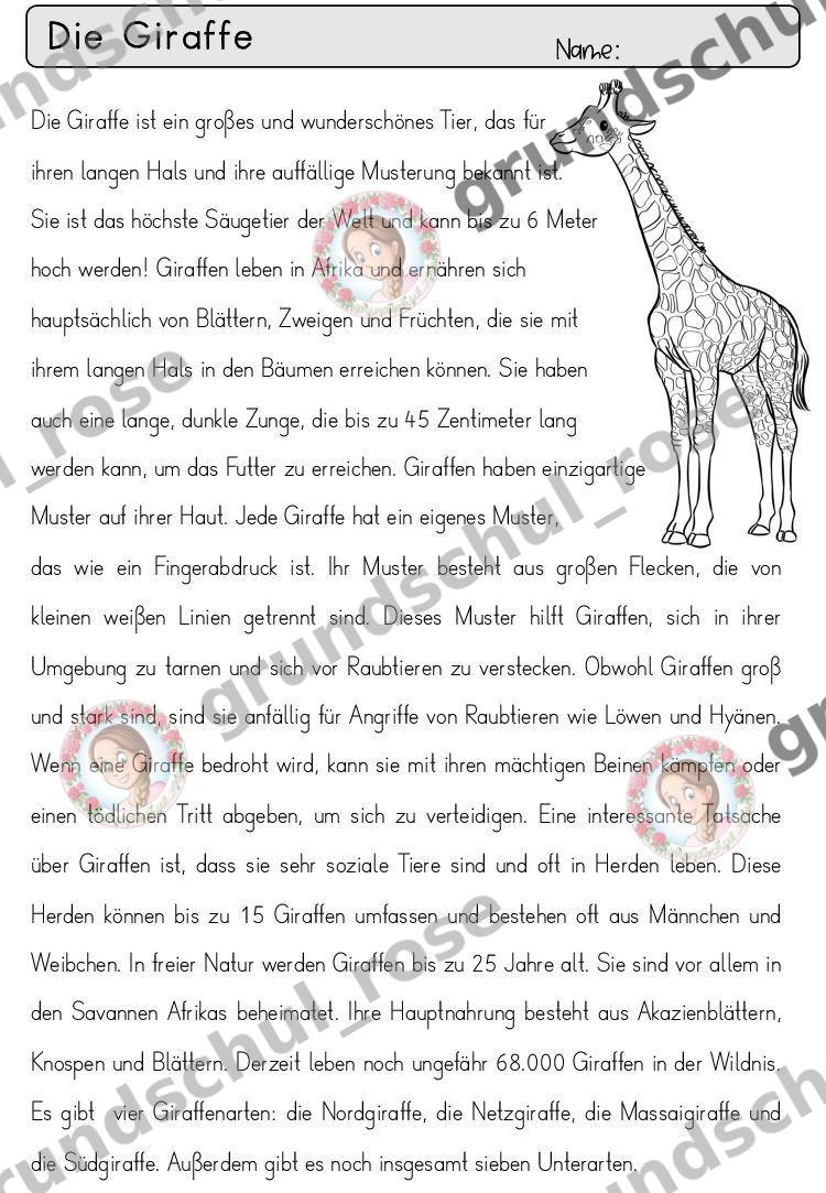Materialvorschau, Seite 24