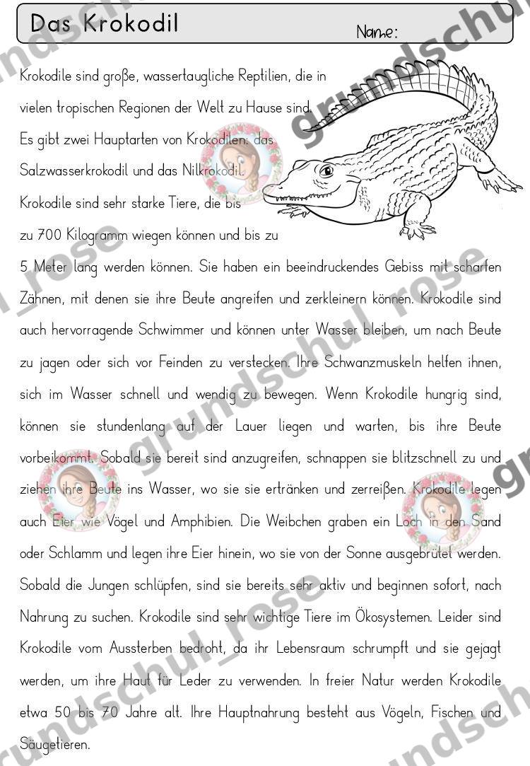 Materialvorschau, Seite 36