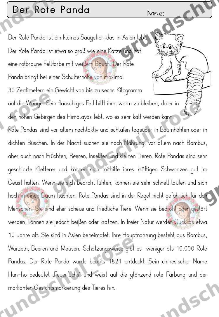 Materialvorschau, Seite 62