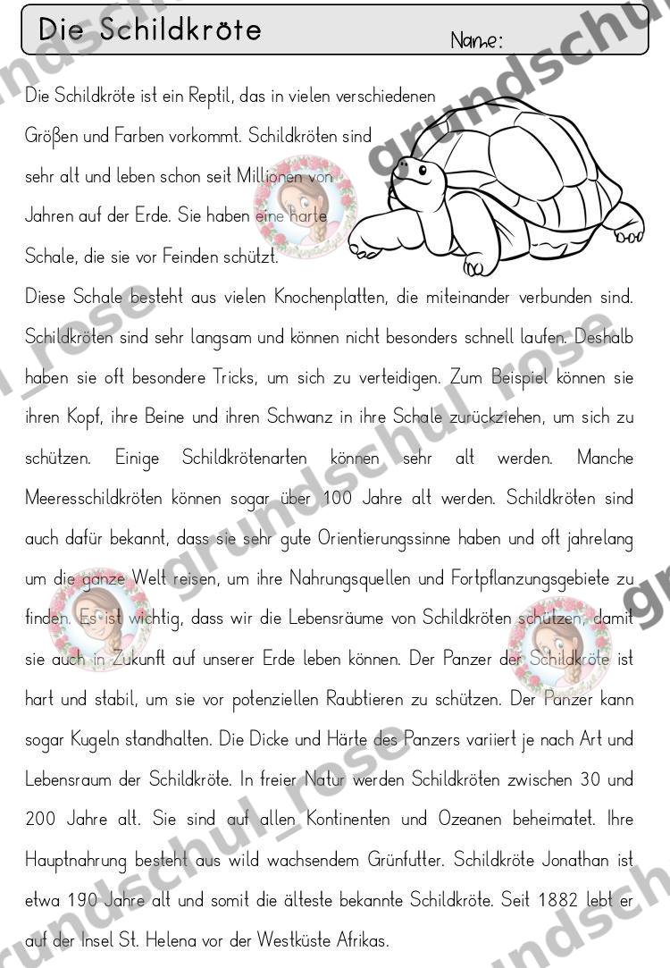 Materialvorschau, Seite 64