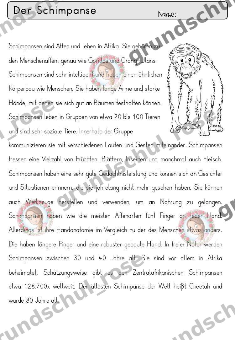 Materialvorschau, Seite 66
