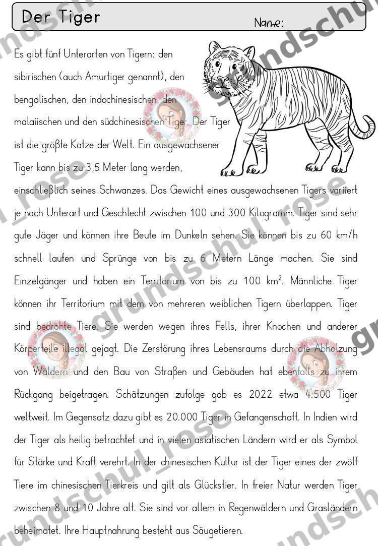 Materialvorschau, Seite 76