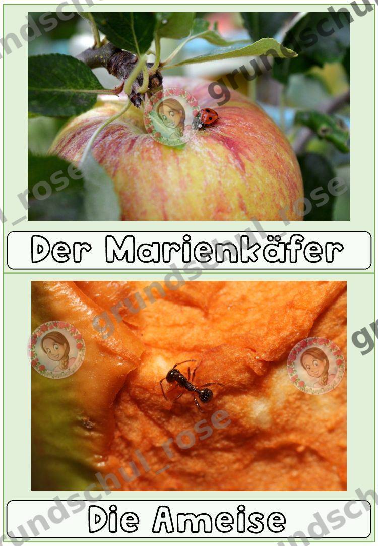 Materialvorschau, Seite 10
