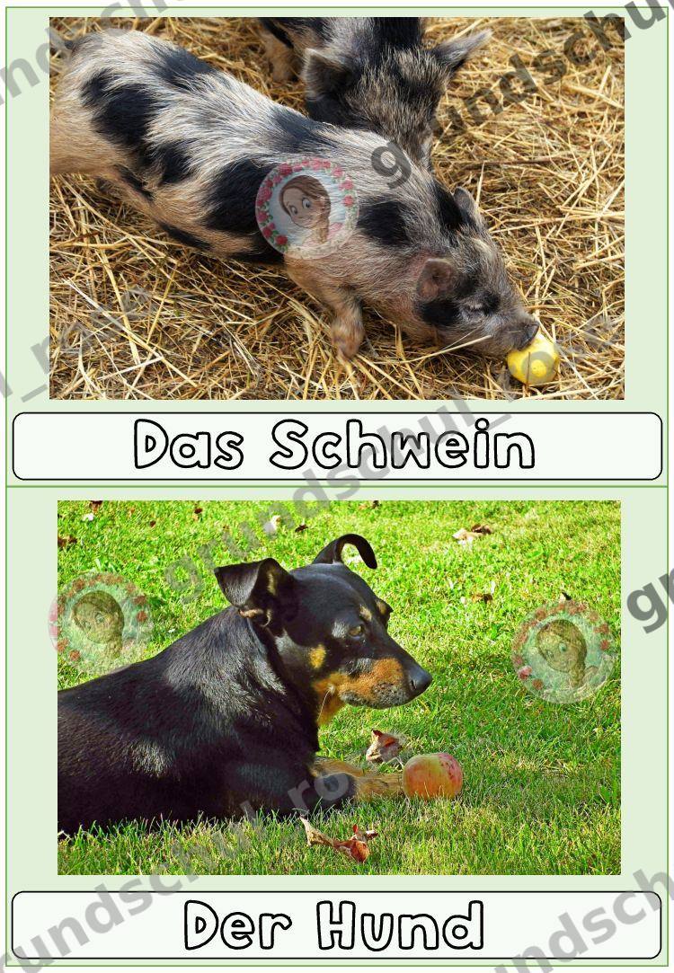 Materialvorschau, Seite 11