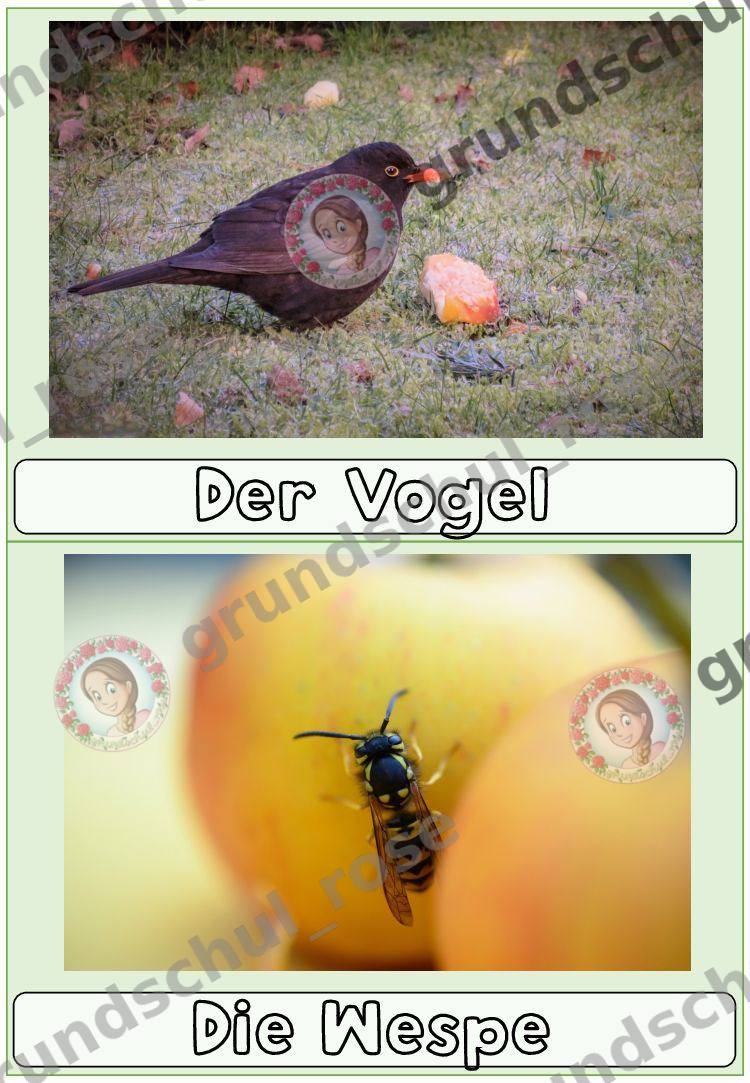 Materialvorschau, Seite 12