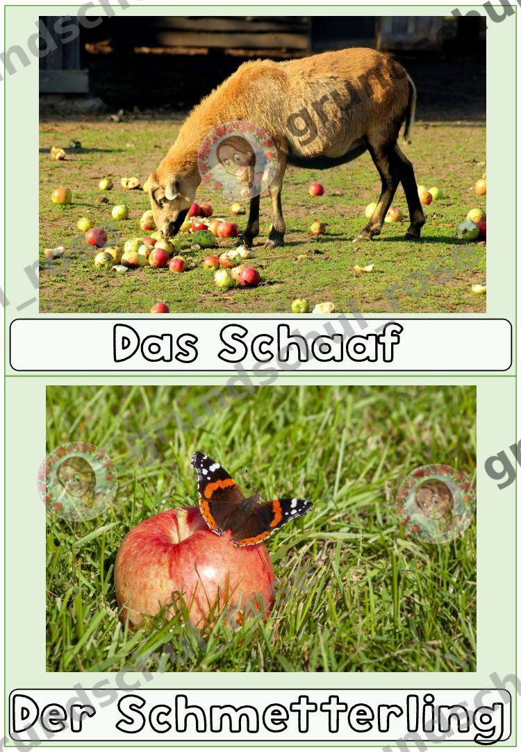 Materialvorschau, Seite 13