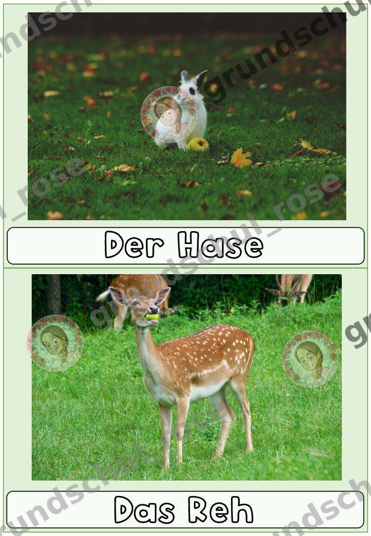 Materialvorschau, Seite 14