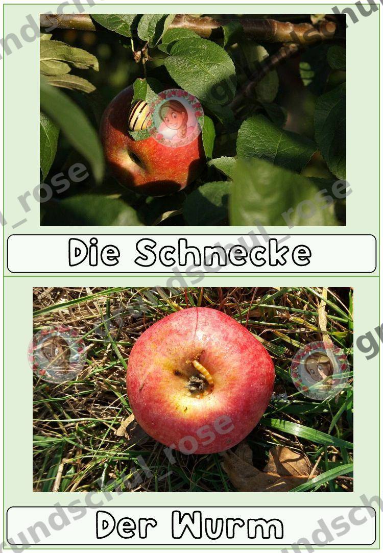 Materialvorschau, Seite 15