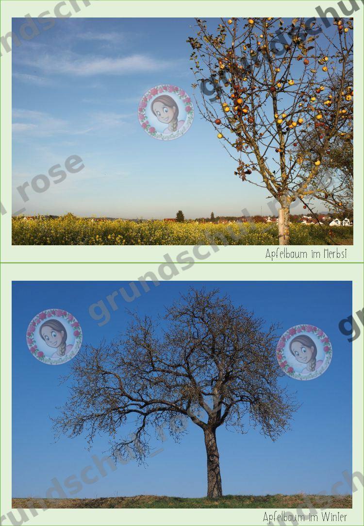 Materialvorschau, Seite 5