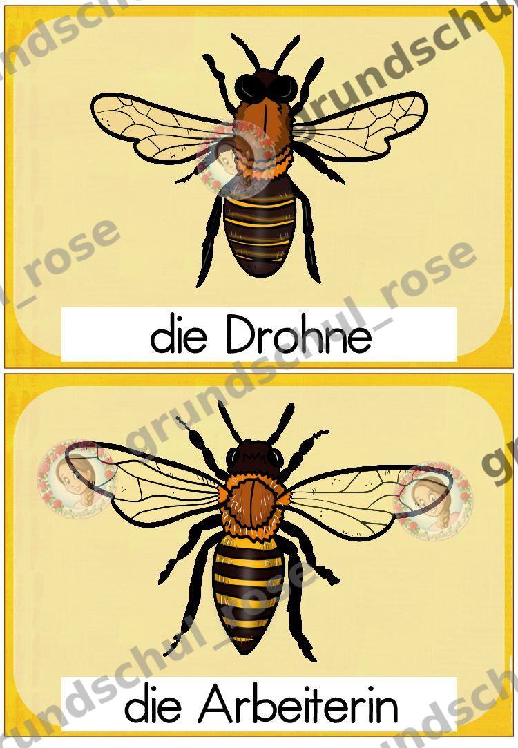 Materialvorschau, Seite 10