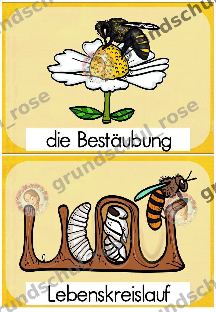 Materialvorschau, Seite 12