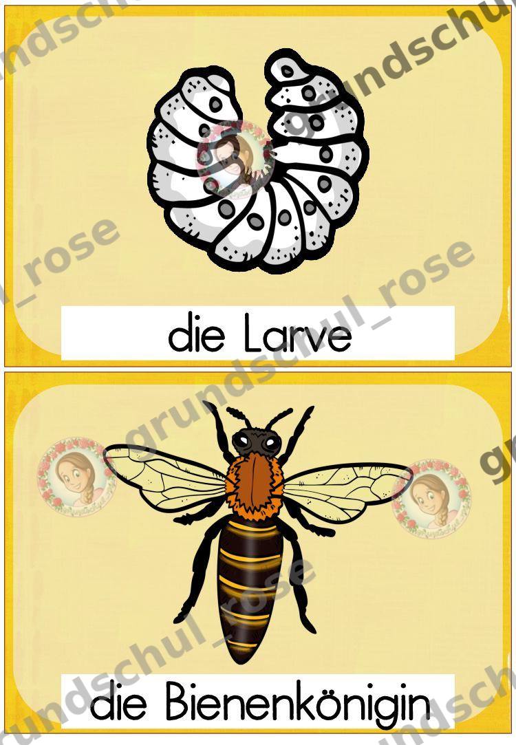 Materialvorschau, Seite 9