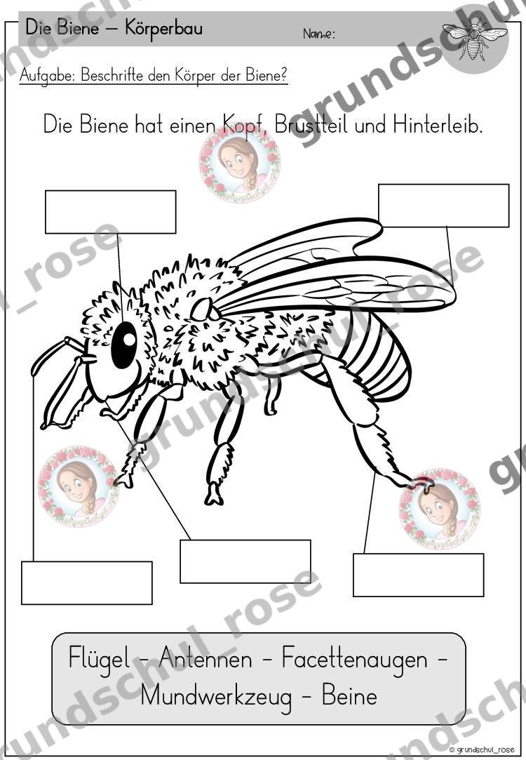 Materialvorschau, Seite 13