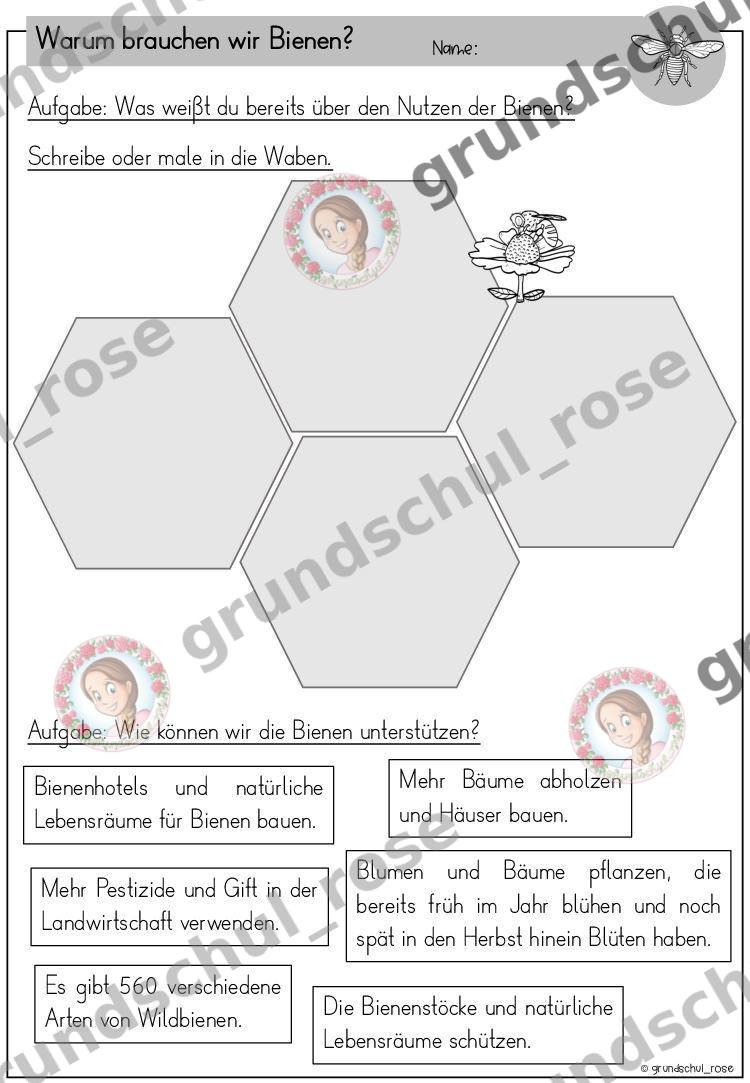 Materialvorschau, Seite 29