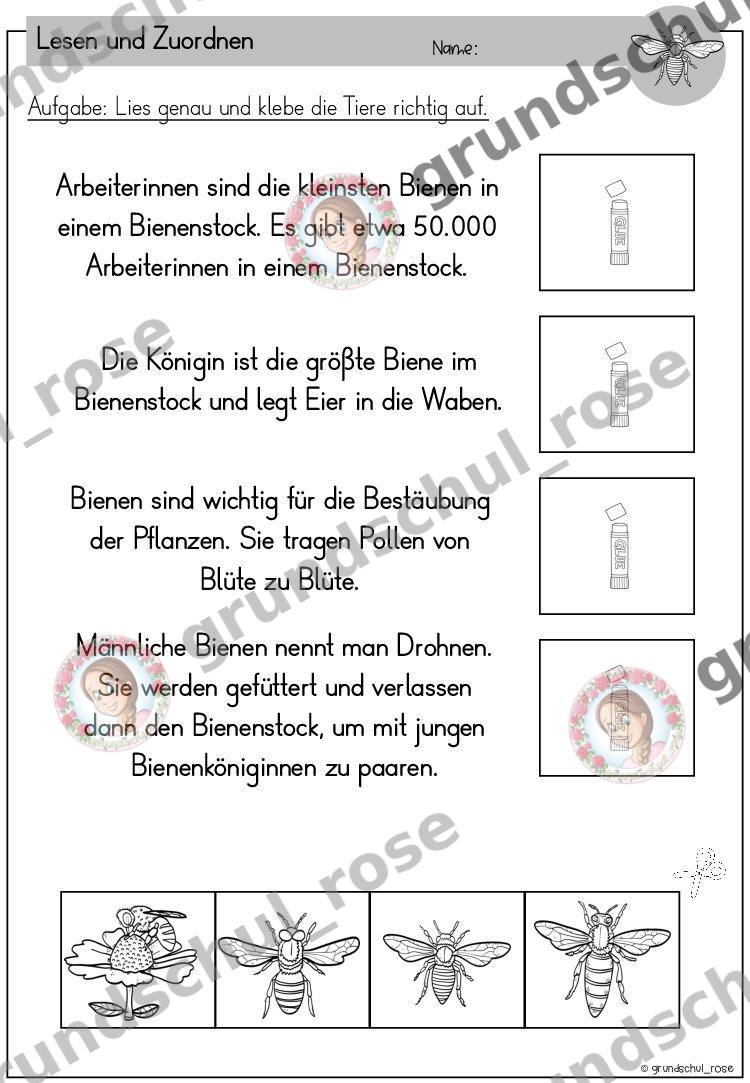 Materialvorschau, Seite 40