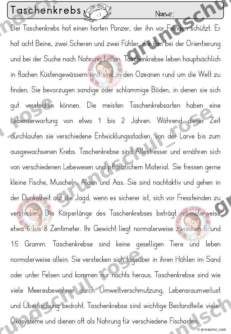 Materialvorschau, Seite 22