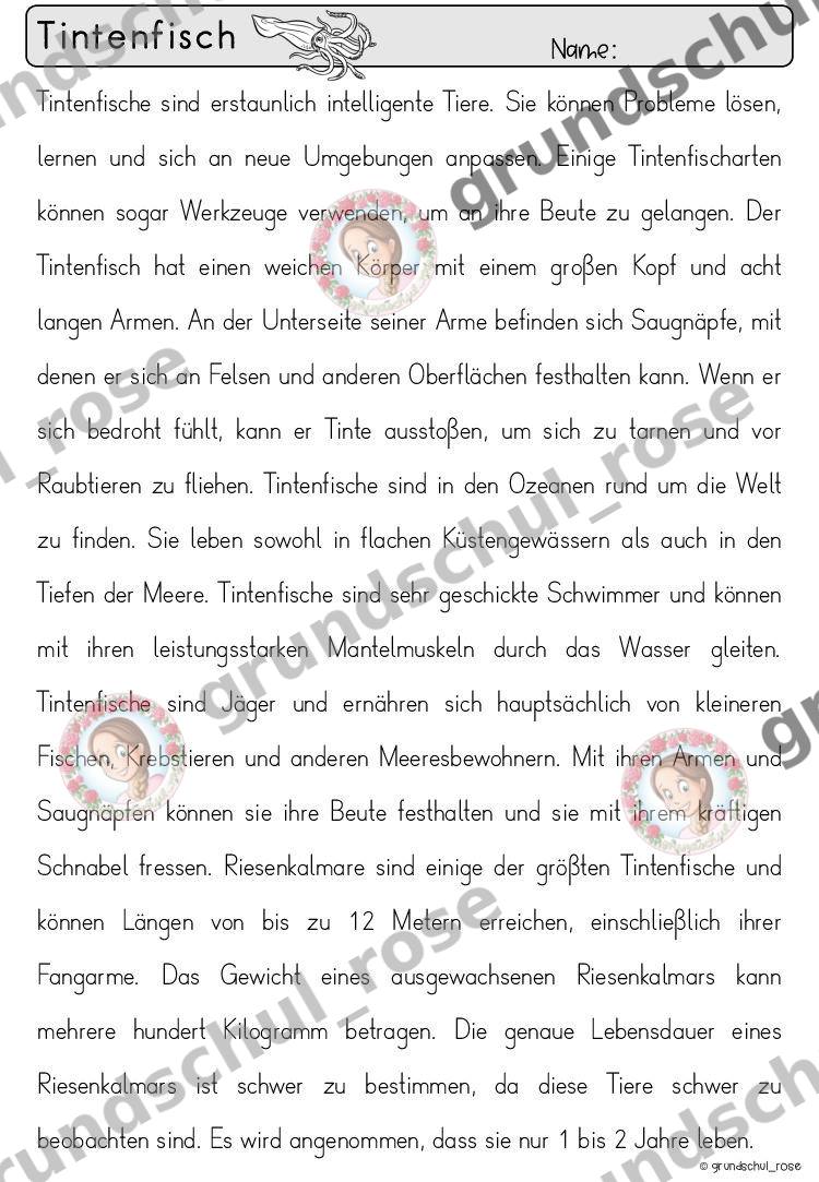 Materialvorschau, Seite 24