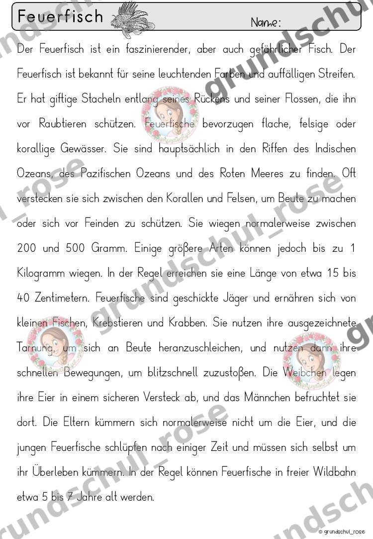 Materialvorschau, Seite 30