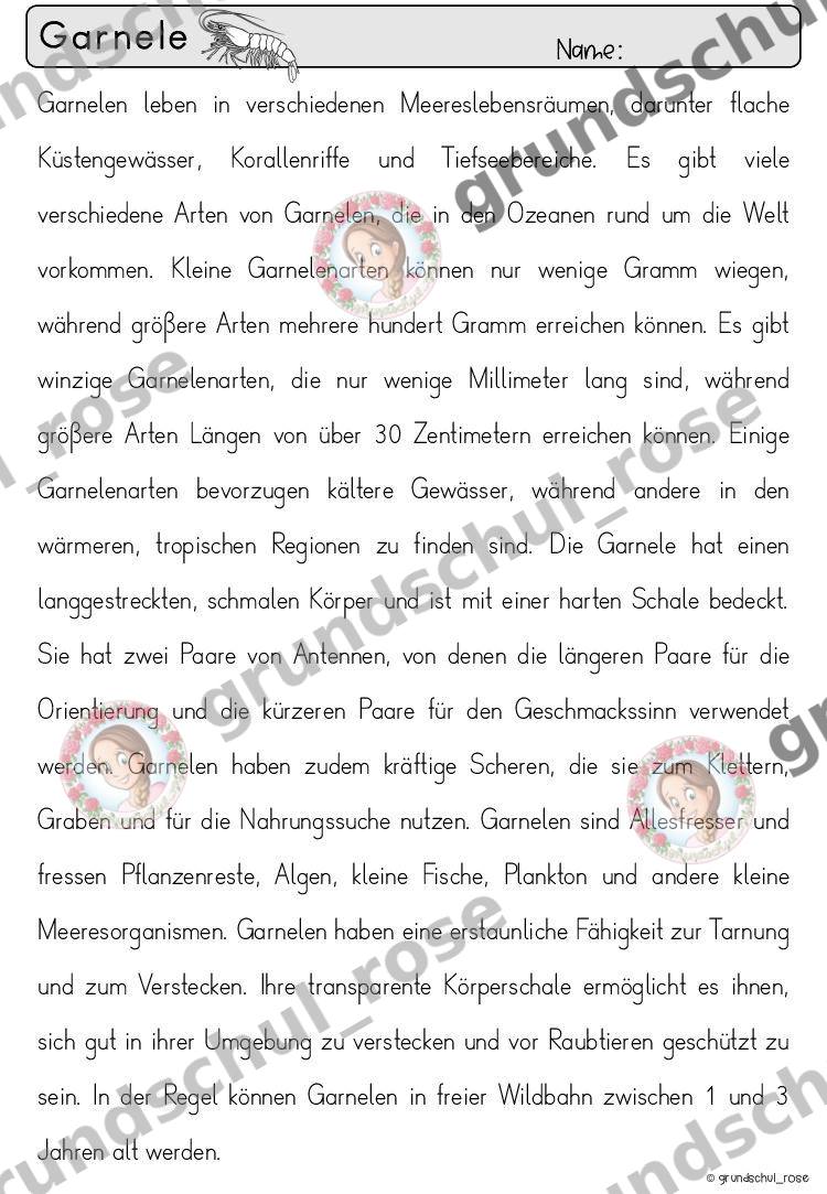Materialvorschau, Seite 32