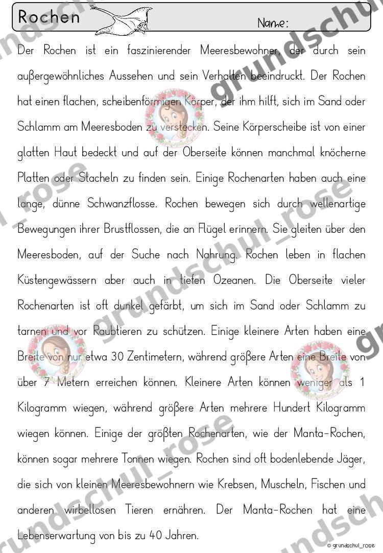 Materialvorschau, Seite 36