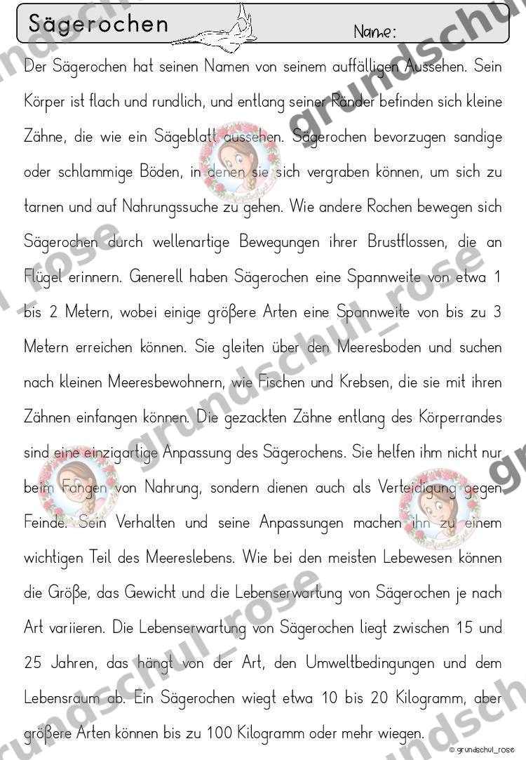 Materialvorschau, Seite 38
