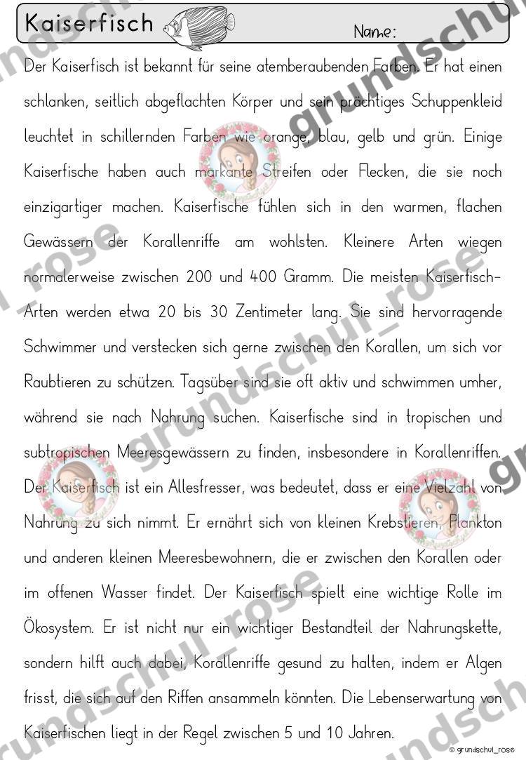 Materialvorschau, Seite 40