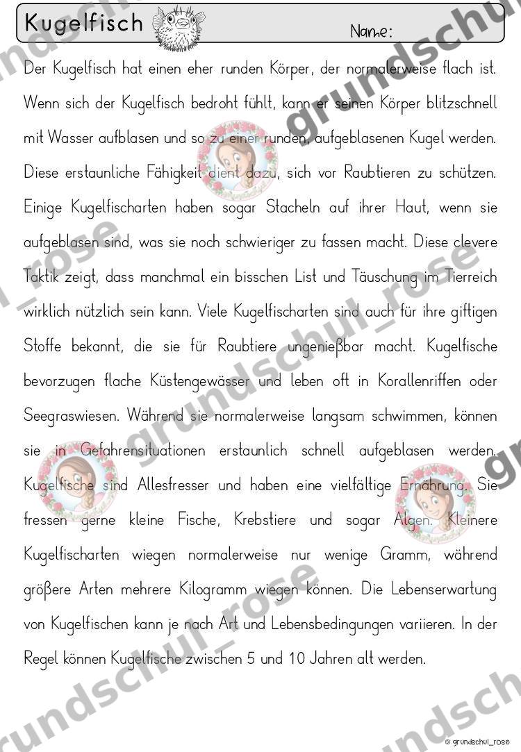 Materialvorschau, Seite 42