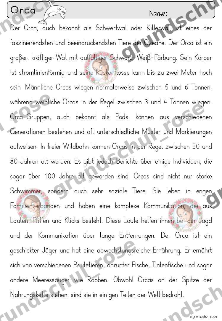 Materialvorschau, Seite 46