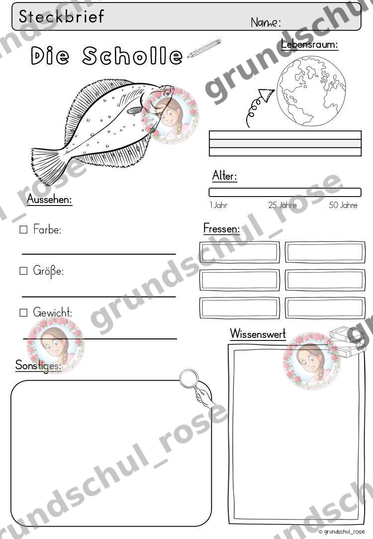 Materialvorschau, Seite 49