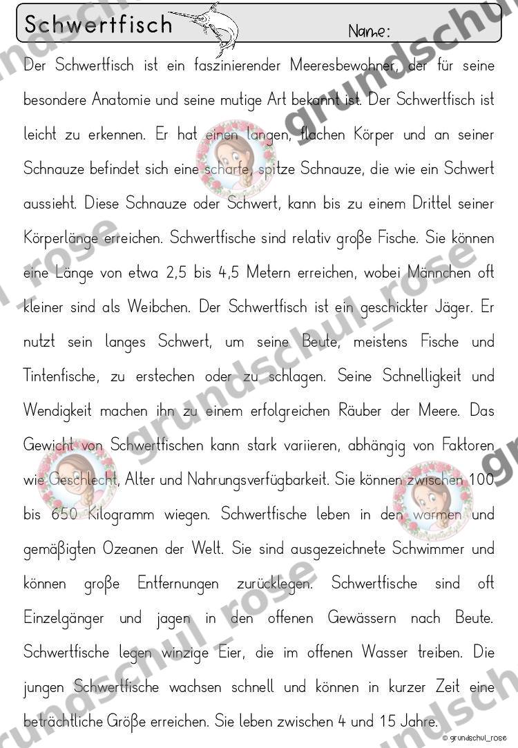 Materialvorschau, Seite 50