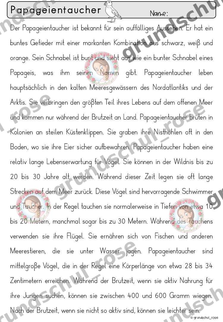 Materialvorschau, Seite 52