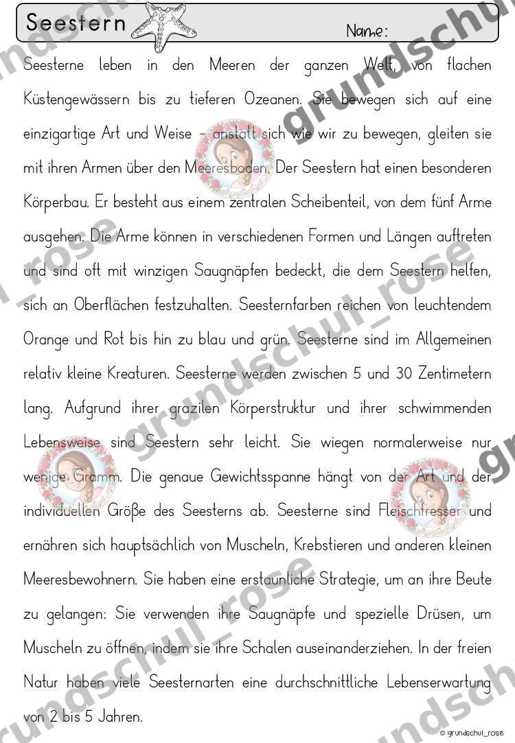 Materialvorschau, Seite 58