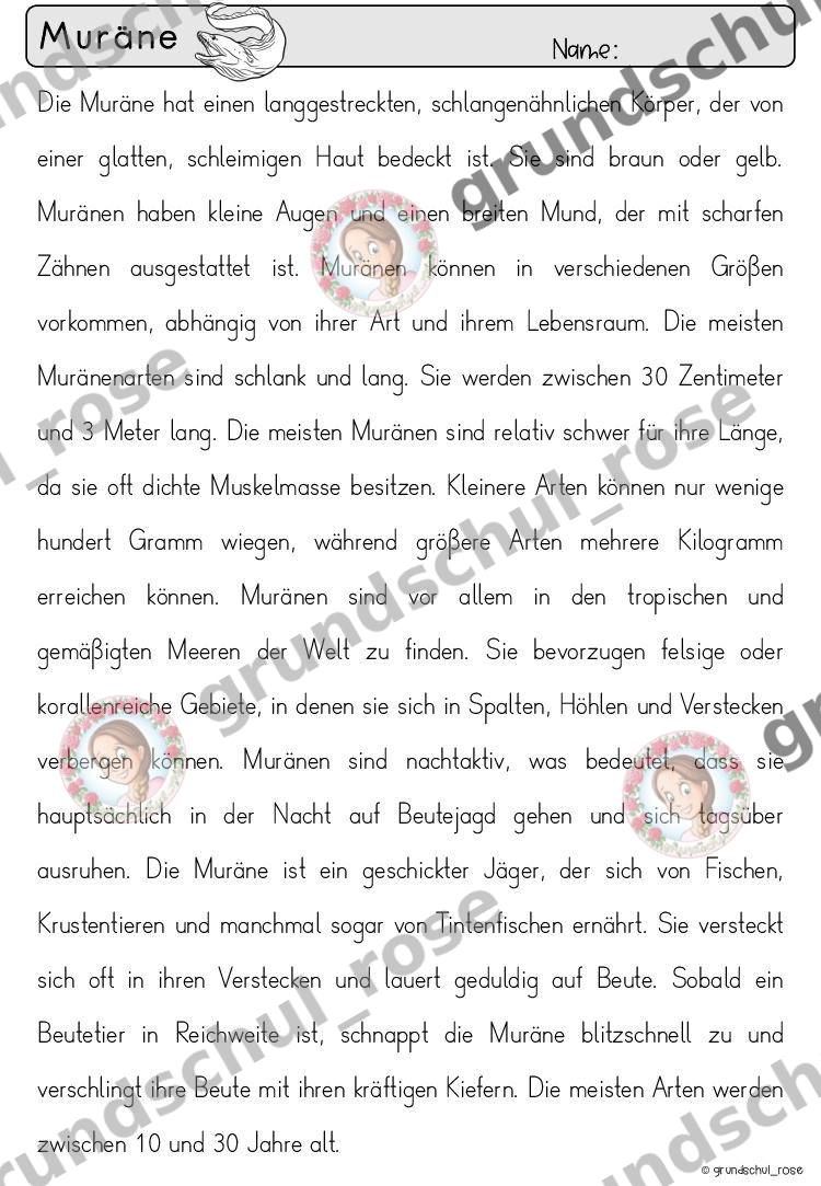 Materialvorschau, Seite 60