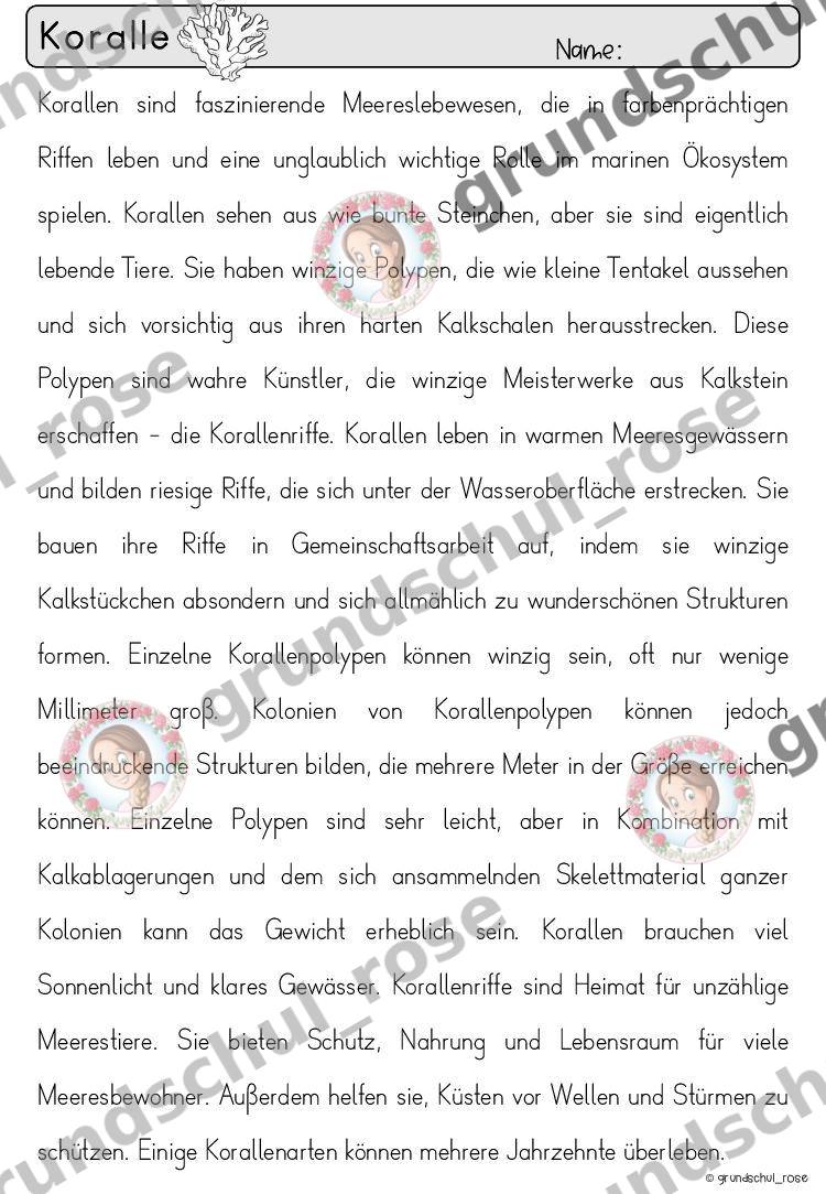 Materialvorschau, Seite 64