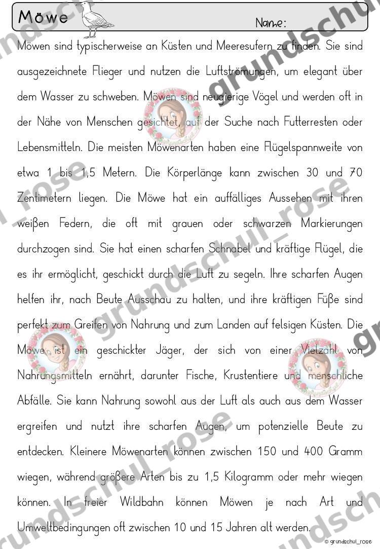 Materialvorschau, Seite 66