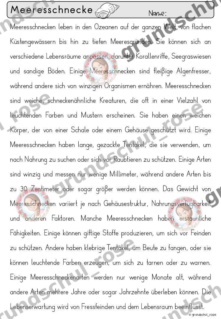 Materialvorschau, Seite 68