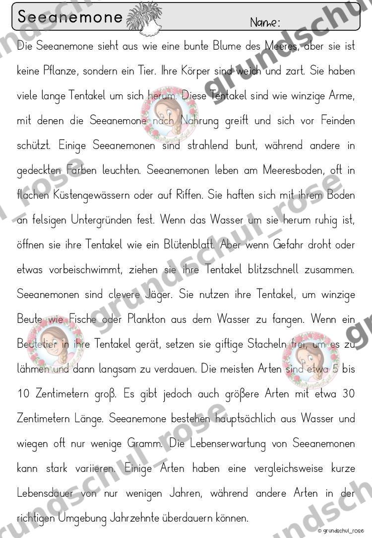 Materialvorschau, Seite 74