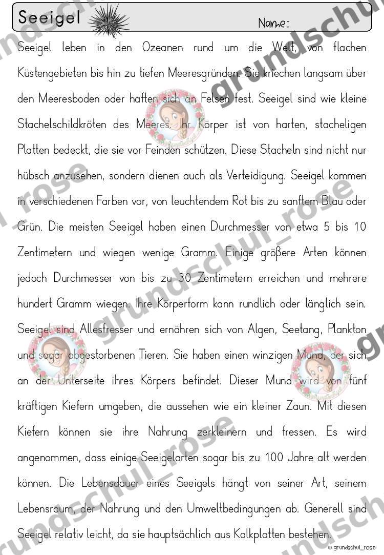 Materialvorschau, Seite 78