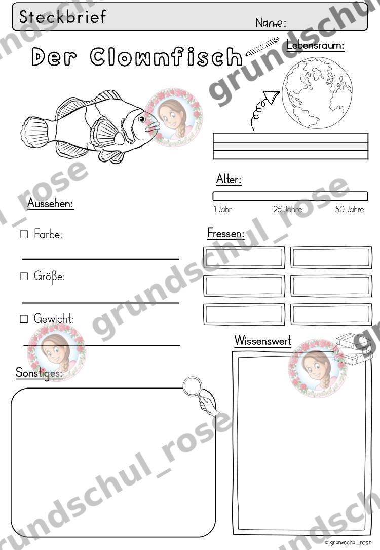 Materialvorschau, Seite 9
