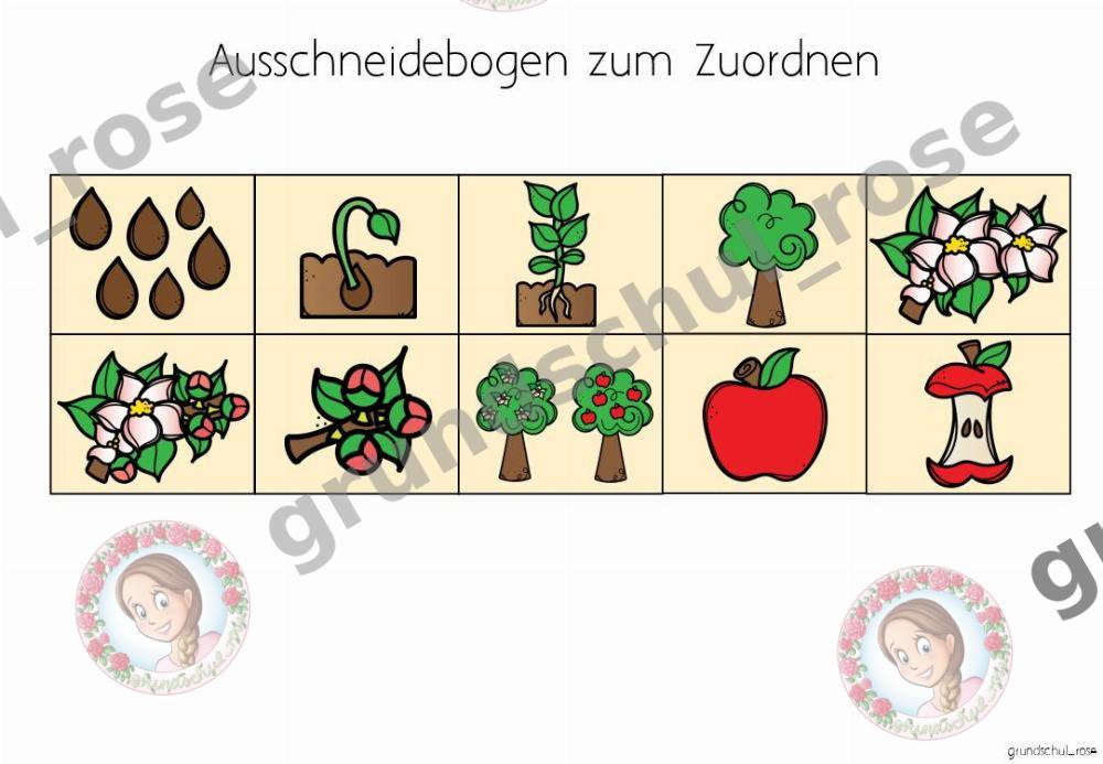 Materialvorschau, Seite 2