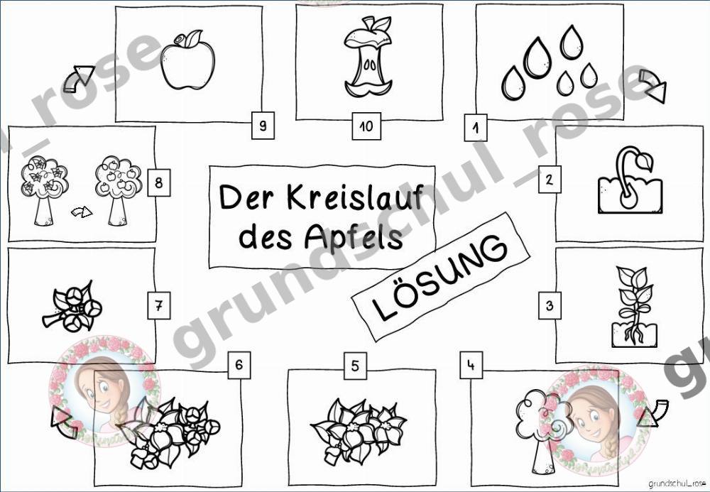 Materialvorschau, Seite 5