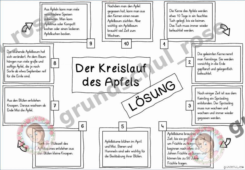 Materialvorschau, Seite 8