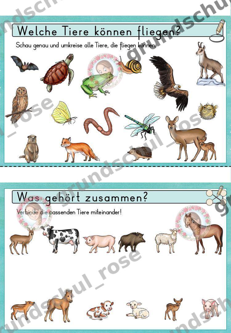 Materialvorschau, Seite 14