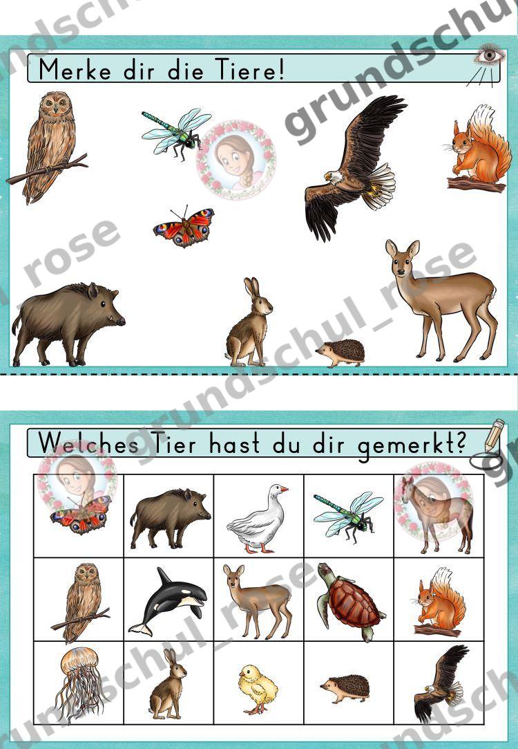 Materialvorschau, Seite 24