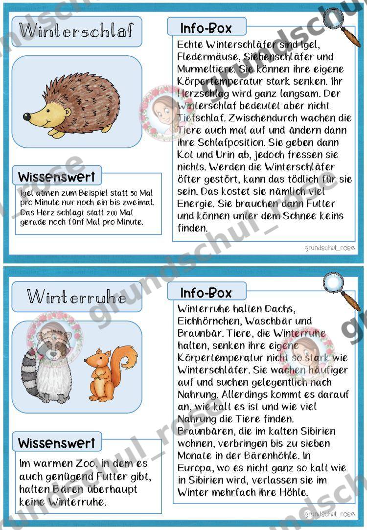 Materialvorschau, Seite 8