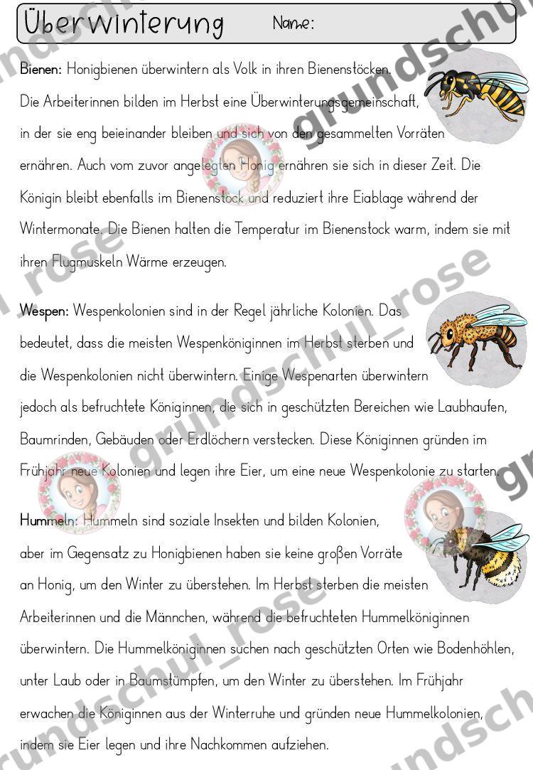 Materialvorschau, Seite 11